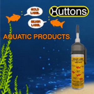 Hutton Aquatics